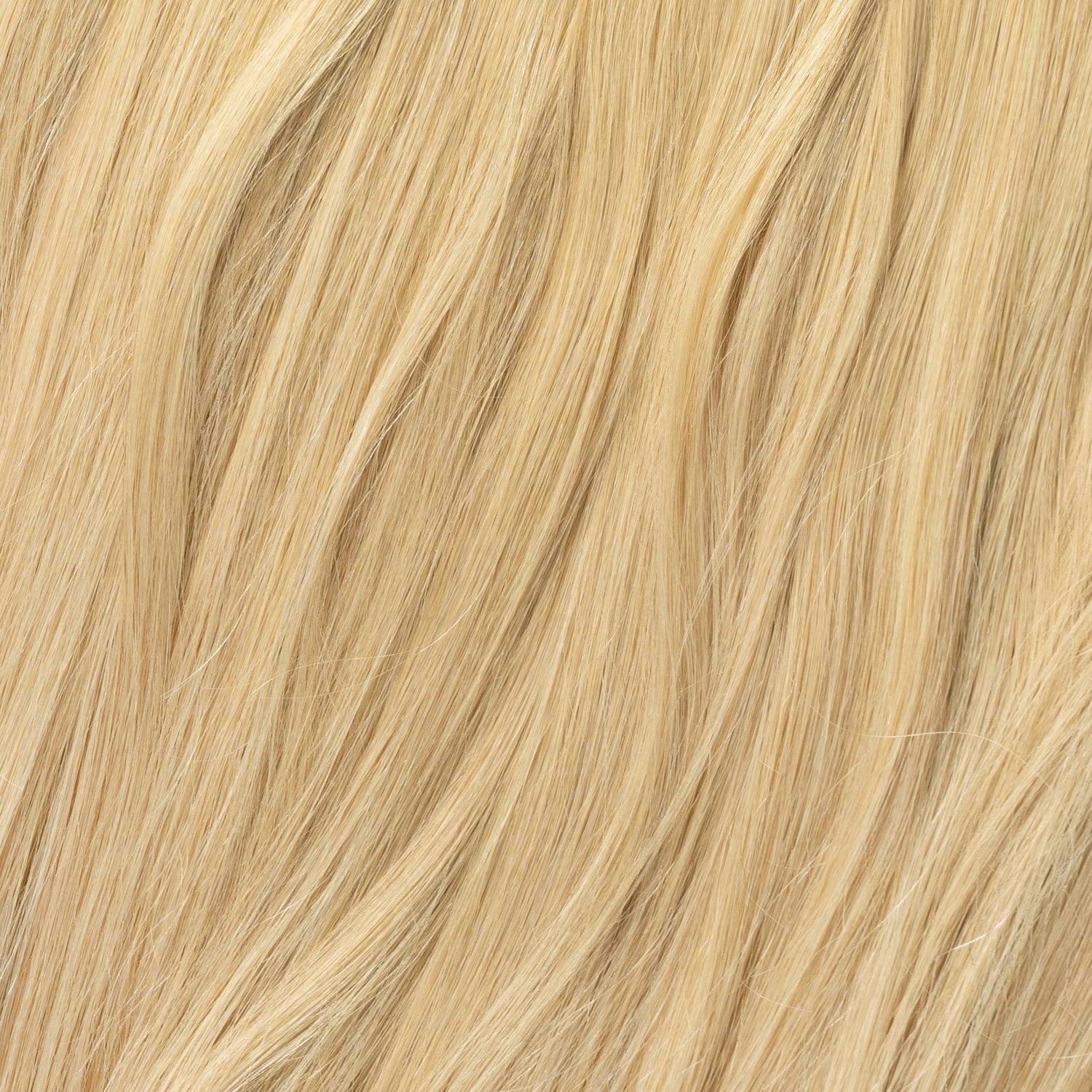 Ponytail Extensions - Honey Blonde 15A
