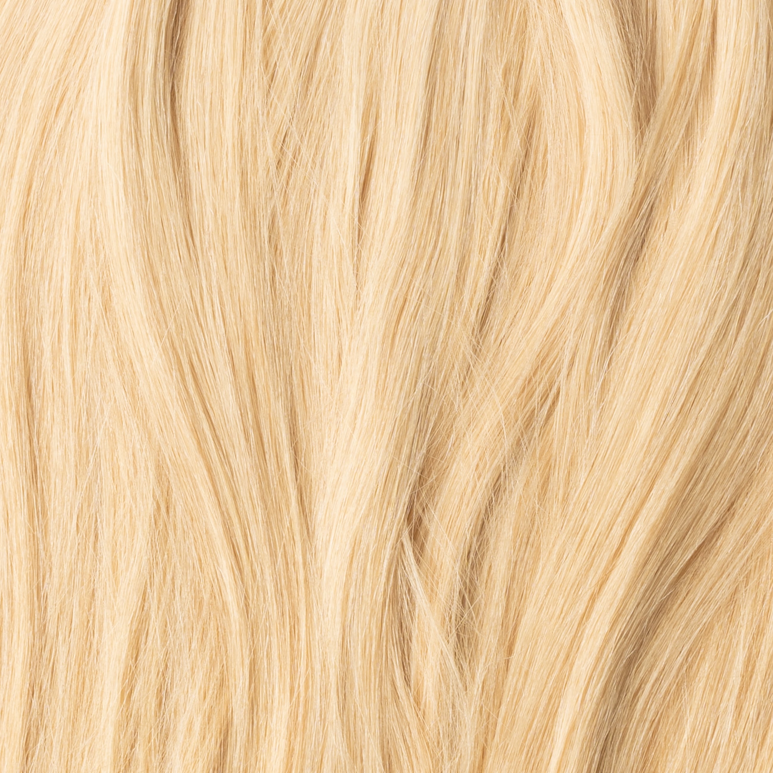 Ponytail Extensions - Goldblond Nr. 22