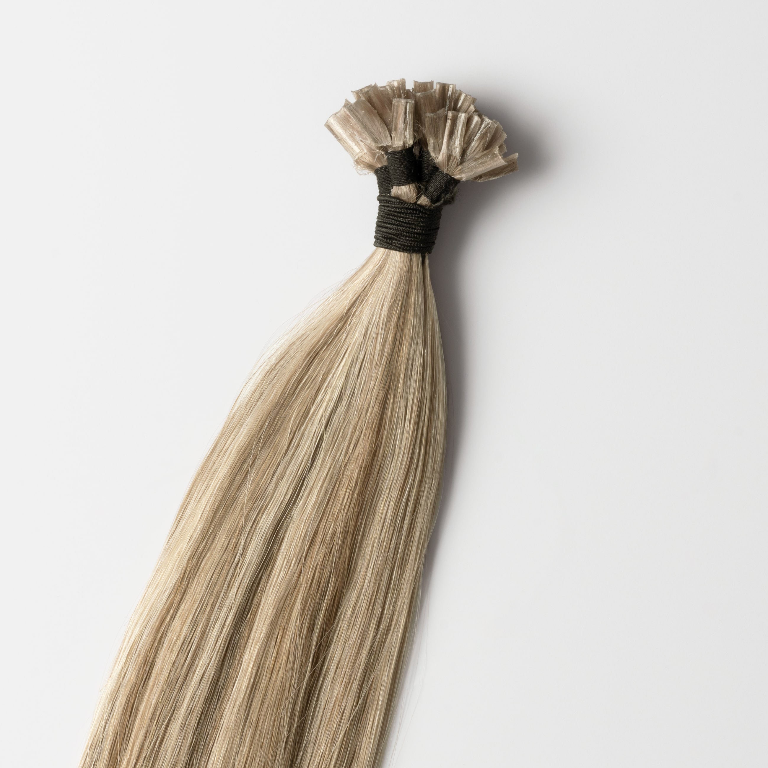 Wax extensions - Beige Blonde Mix 5B/16B