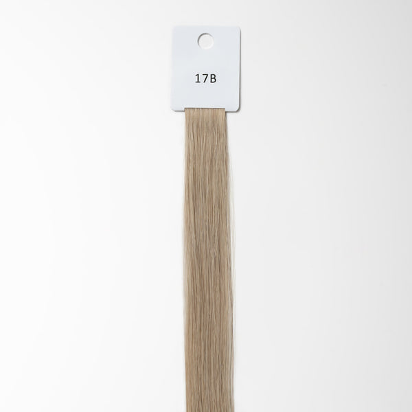 Color sample - Ash Blonde 17B Color sample - Ash Blonde 17B