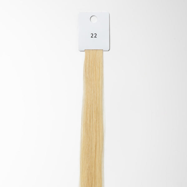 Color sample - Light Honey Blonde 22 Color sample - Light Honey Blonde 22