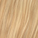 Invisible Clip In - Honey Blonde Mix 10/22