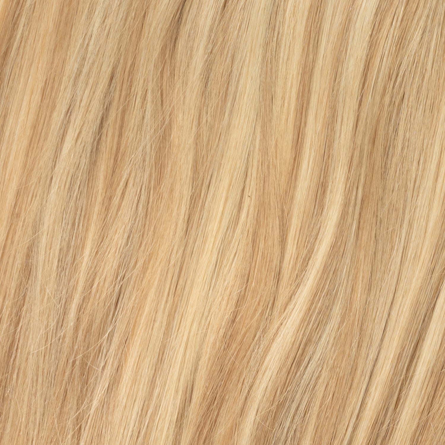 Clip in extensions - Honey Blonde Mix 10/22