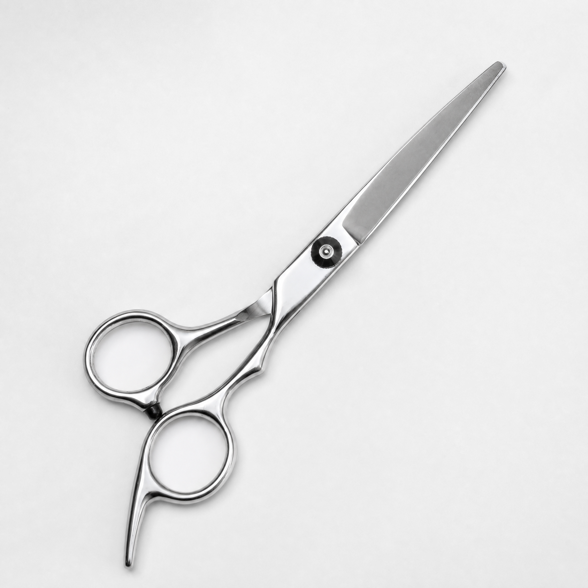 Extensions schaar