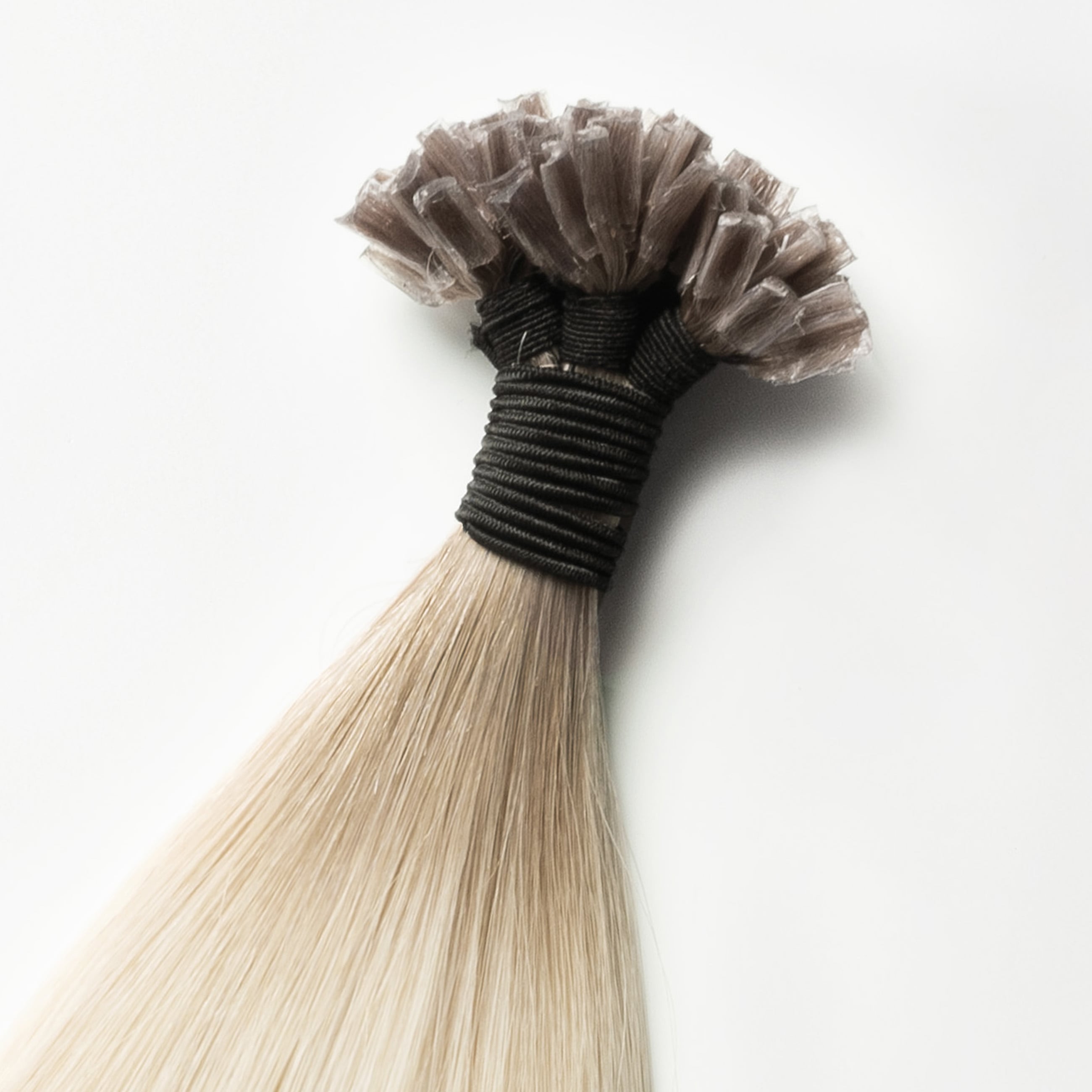 Bonding Extensions - Root Nr. R16B+60B